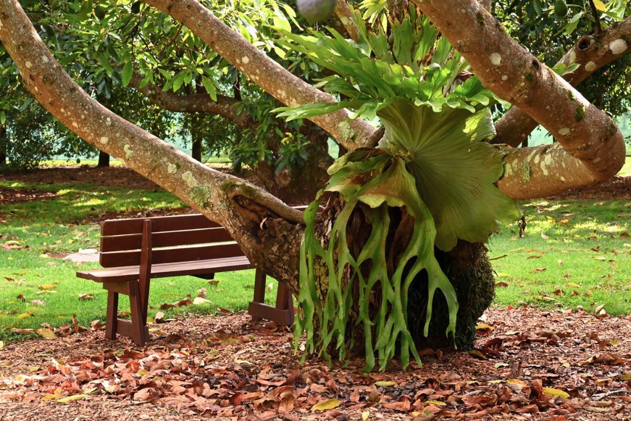 คาเมล็อท คอทเทจส์ Villa ภูเขาแทมโบรีน ภายนอก รูปภาพ