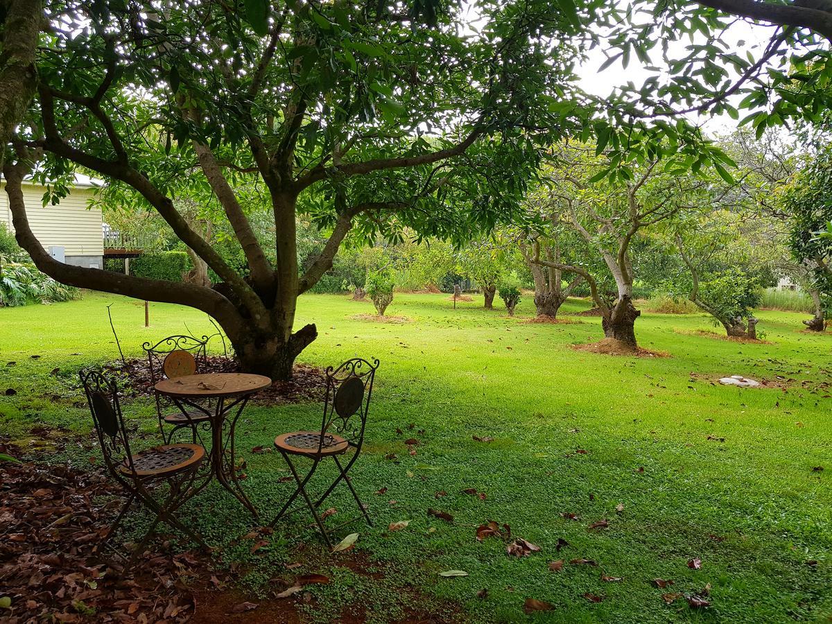 คาเมล็อท คอทเทจส์ Villa ภูเขาแทมโบรีน ภายนอก รูปภาพ